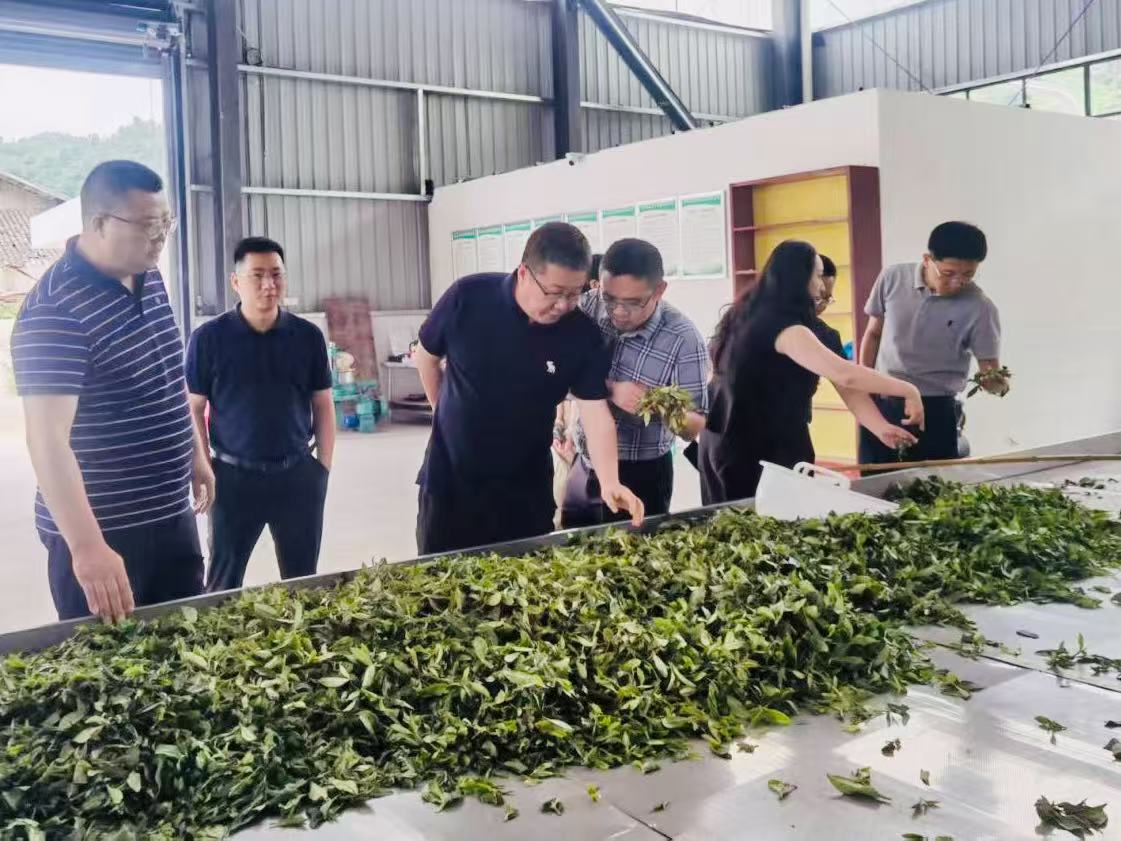 图片.jpg 图片.jpg