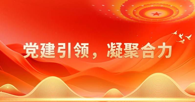 党建引领，凝聚合力